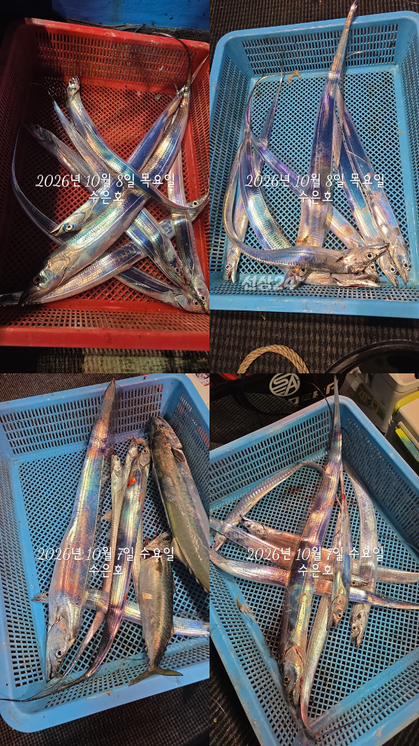 1791407804115-tile.jpg
