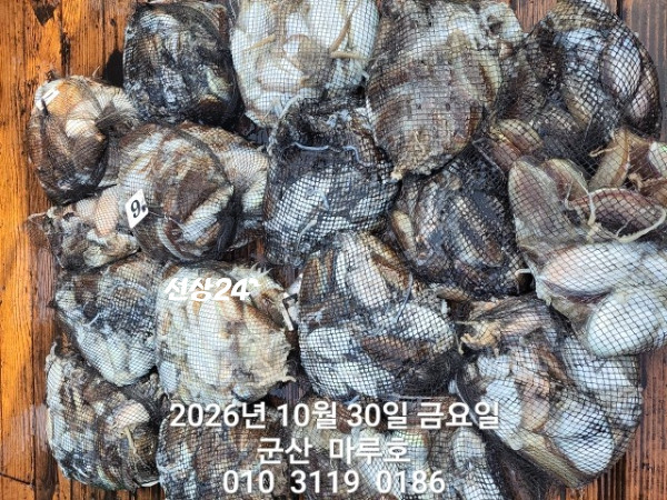 KakaoTalk_20261030_163940516_08.jpg