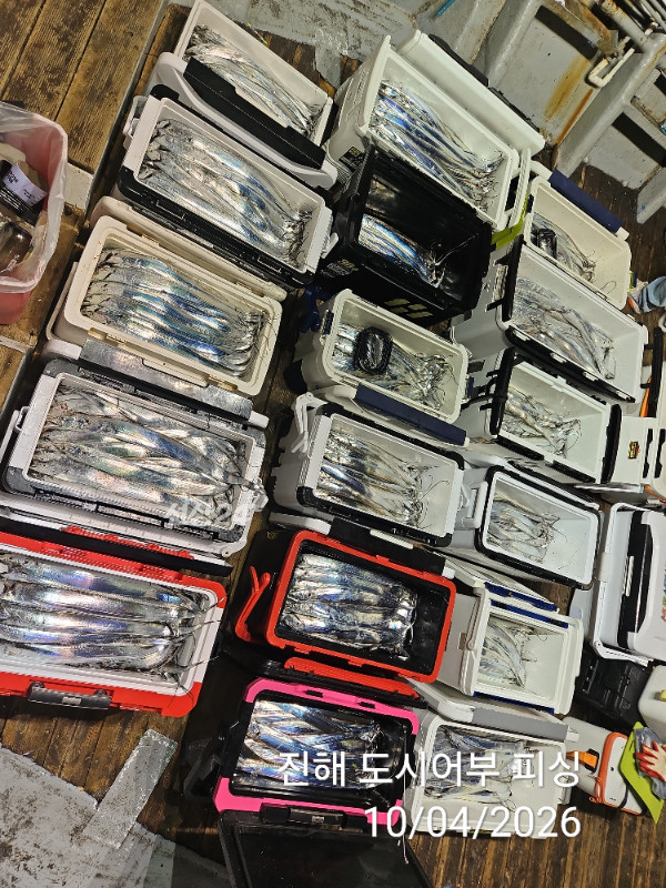 KakaoTalk_20261004_050453266_14.jpg