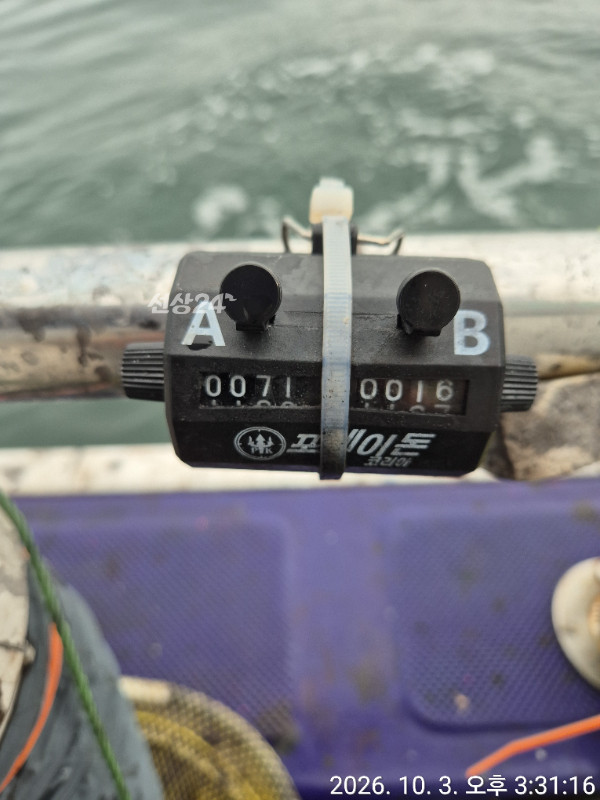 6790.jpg