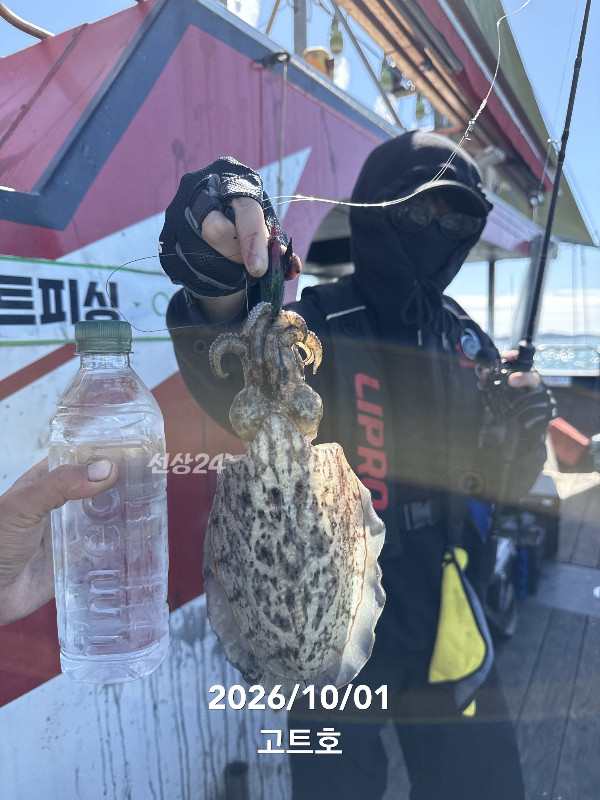 TC_08905.jpeg