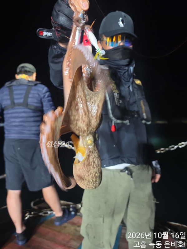고흥 녹동 은비호!(두족류,돌돔,외수질)_사진_20261017_7.jpg