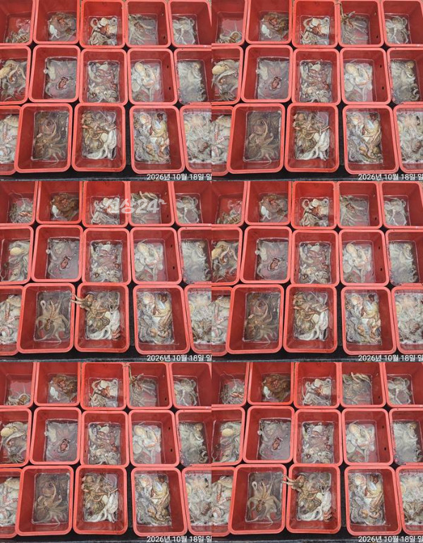 1792311235147-tile.jpg
