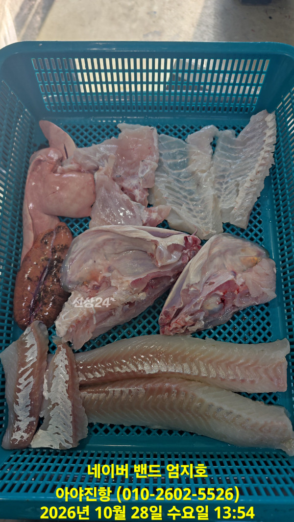 TimePhoto_20261028_135453.jpg
