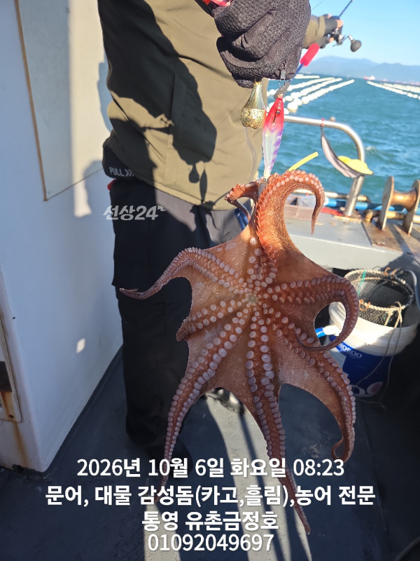 1000061801.jpg