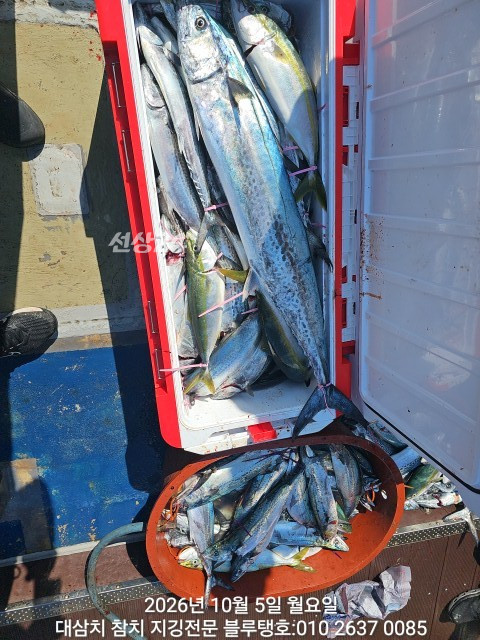 20261005_102110.jpg