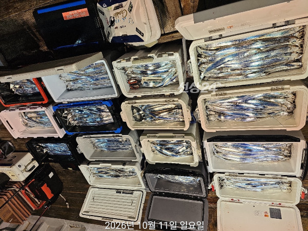 D654B2EA-2B88-4B2E-BB4D-E66B6BC4D306.jpeg