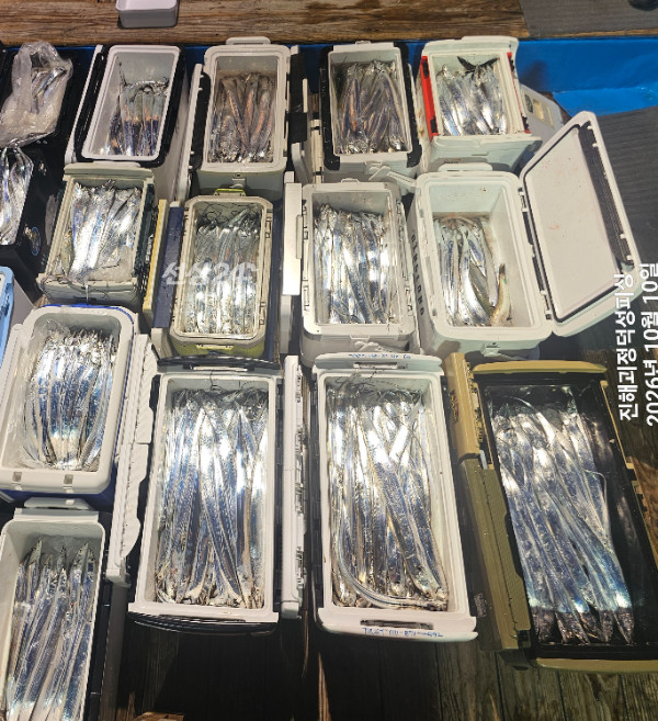 1000084800.jpg