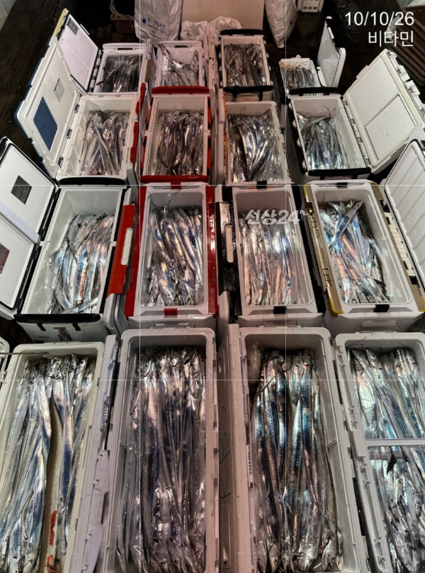 1000104793.jpg