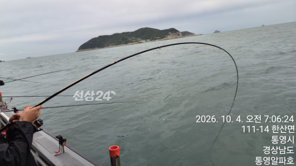 61797.jpg