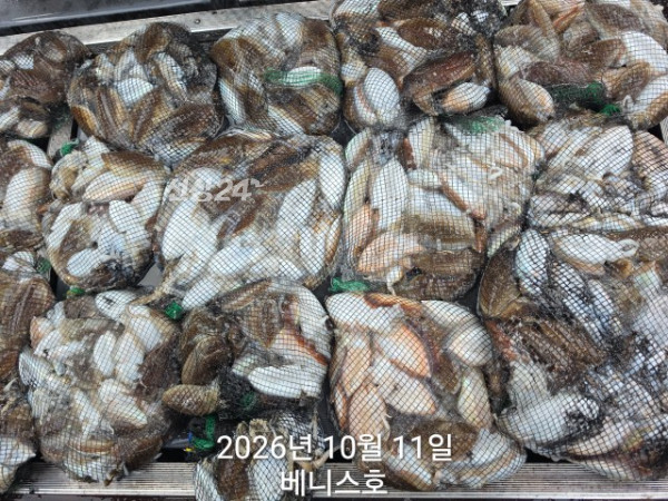 KakaoTalk_20261011_165531537.jpg