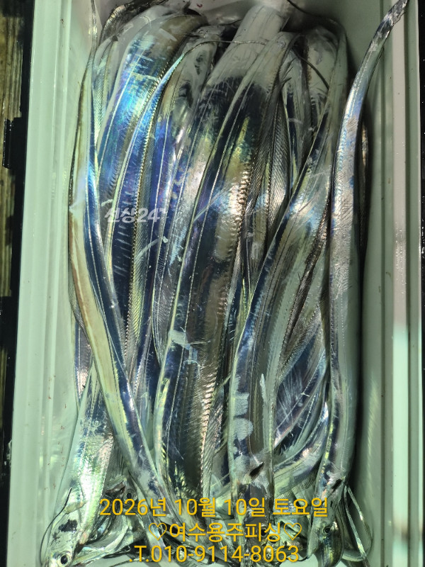 1000039347.jpg