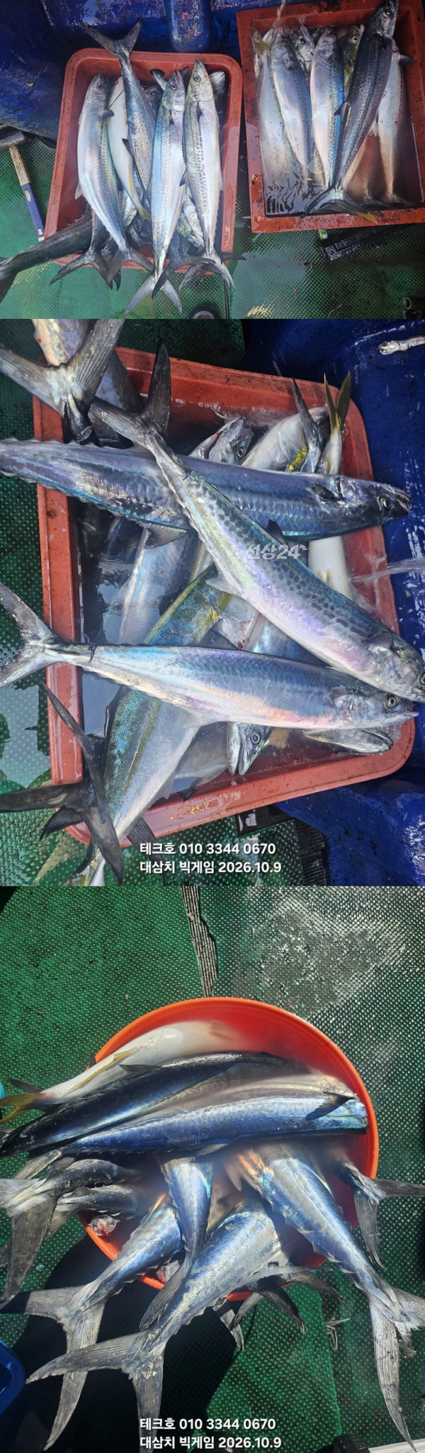 KakaoTalk_20261009_121735328_21-vert.jpg