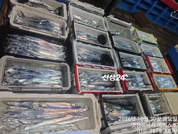 76311.jpg