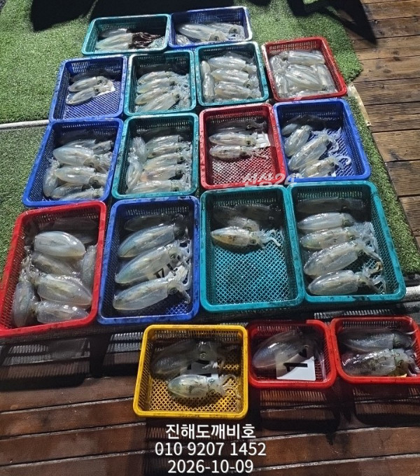 9059.jpg