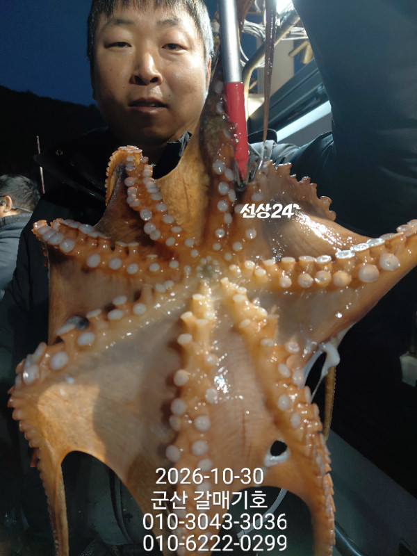 13403.jpg