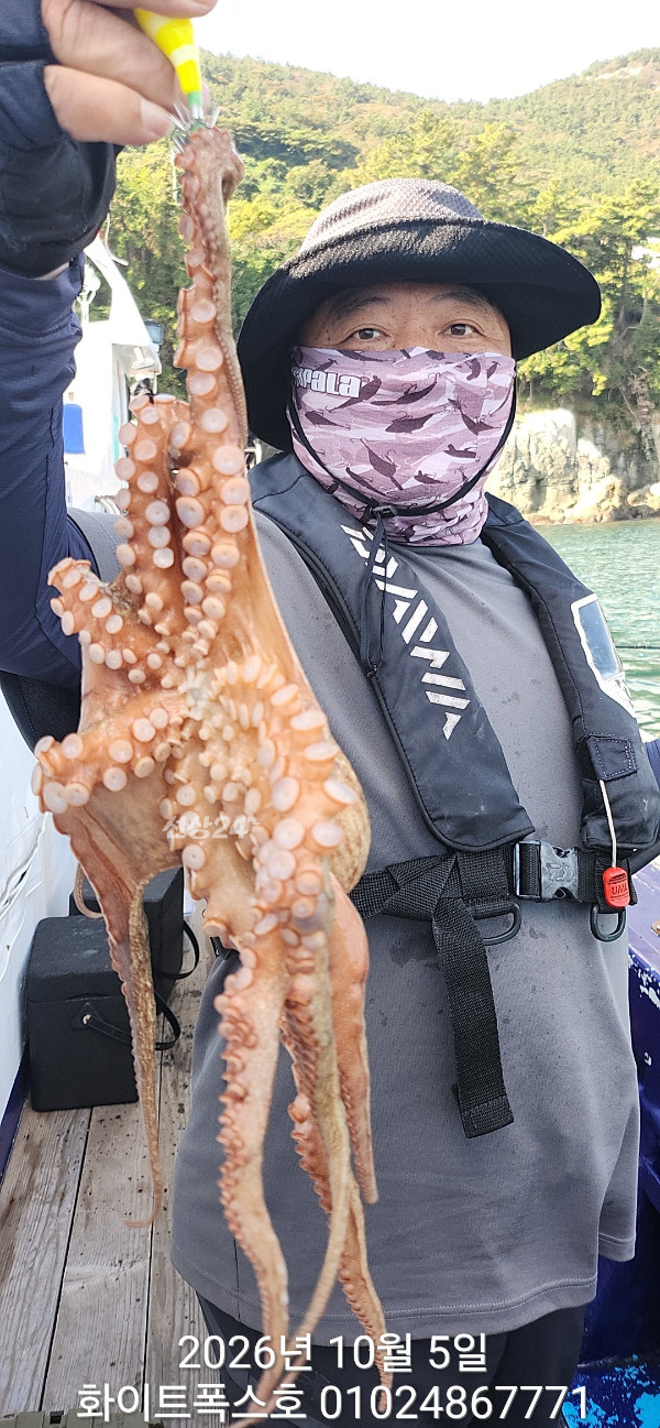 7961.jpg
