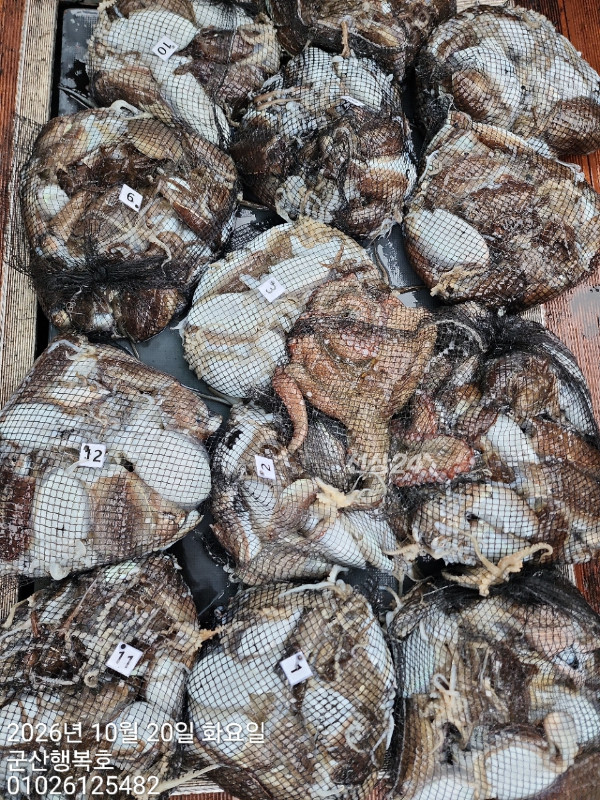 군산행복호_사진_20261020_10.jpg