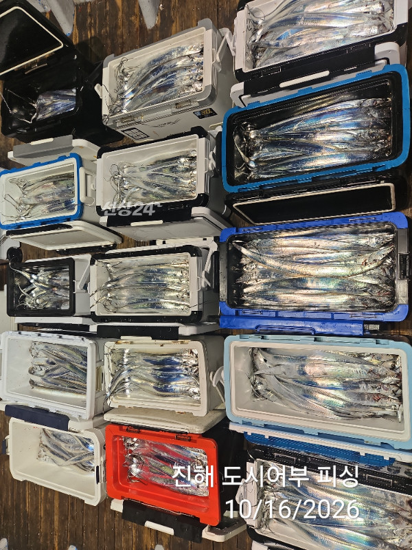 KakaoTalk_20261016_060819468_11.jpg