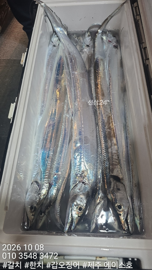 KakaoTalk_20261008_103724428_11.jpg