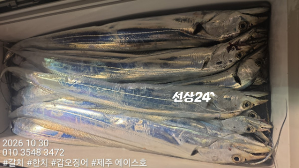 KakaoTalk_20261030_104958423_06.jpg