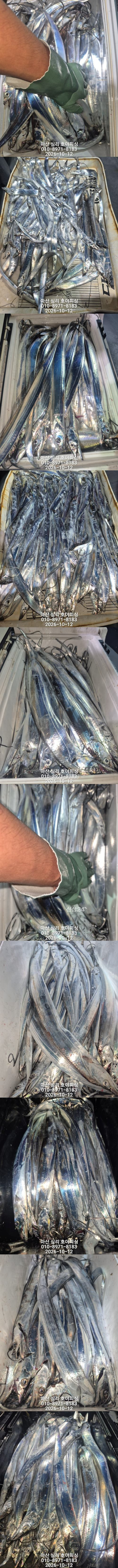 10월11일2호.jpg