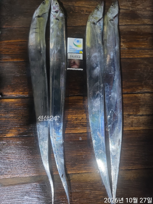 1000408924.jpg