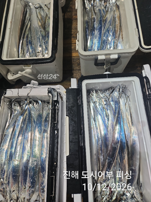 KakaoTalk_20261012_044857632_11.jpg