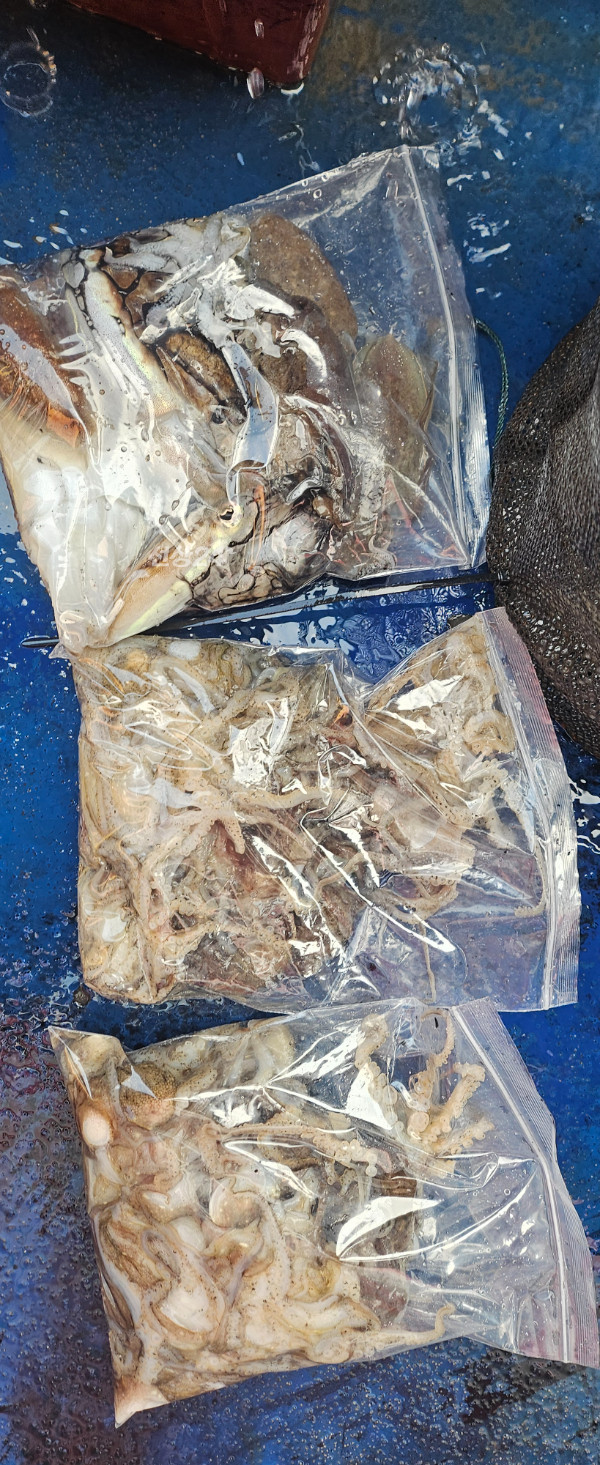 2824.jpg