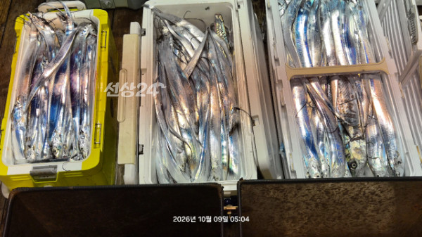 1004피싱_사진_20261009_10.jpg