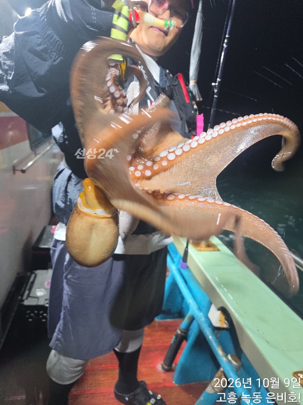 쎄븐피싱클럽(선상 버스출조전문)_사진_20261010_11.jpg