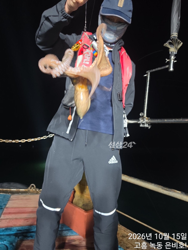 고흥 녹동 은비호!(두족류,돌돔,외수질)_사진_20261017_12.jpg