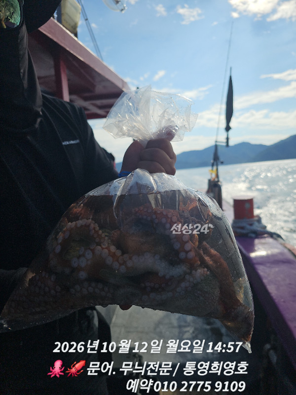 77350.jpg