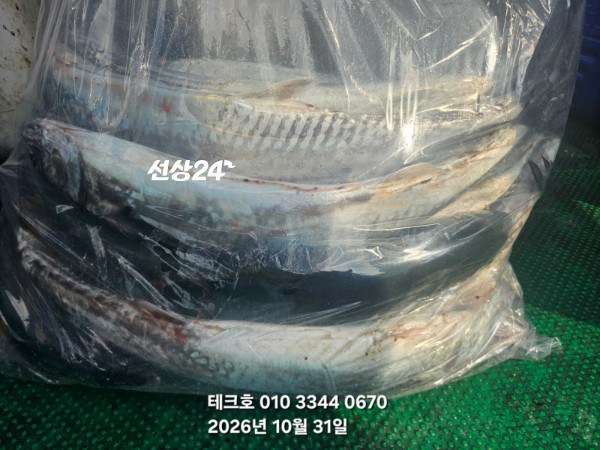 KakaoTalk_20261031_130145360_05.jpg