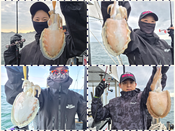 collage1.png