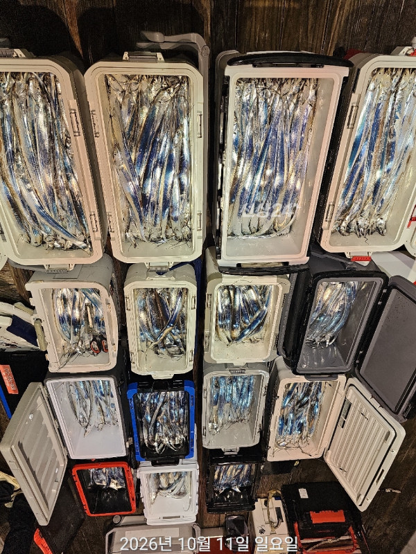 D7F4B88B-6AC6-4DD7-80C2-4F4CC0602FED.jpeg
