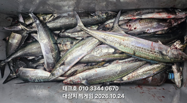 KakaoTalk_20261024_181458037_11.jpg
