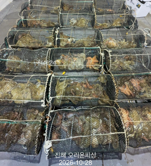 KakaoTalk_20261028_073629618_12.jpg