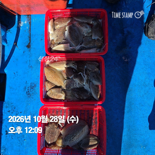 KakaoTalk_20261028_174415416_01.jpg