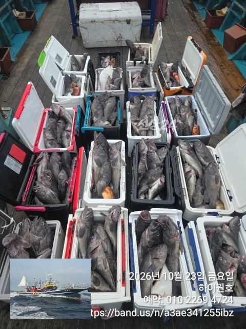 KakaoTalk_20261023_145033974_01.jpg