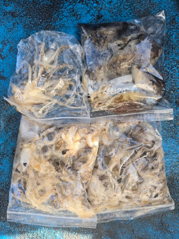 1790843058201.jpg