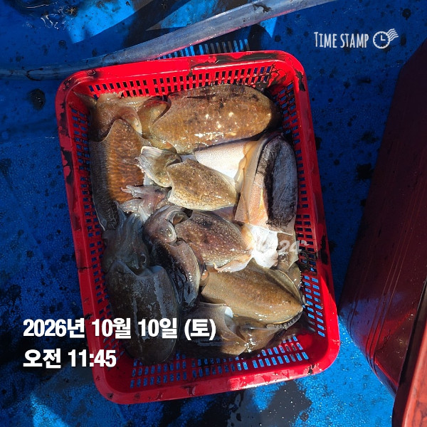 KakaoTalk_20261010_132841901_02.jpg