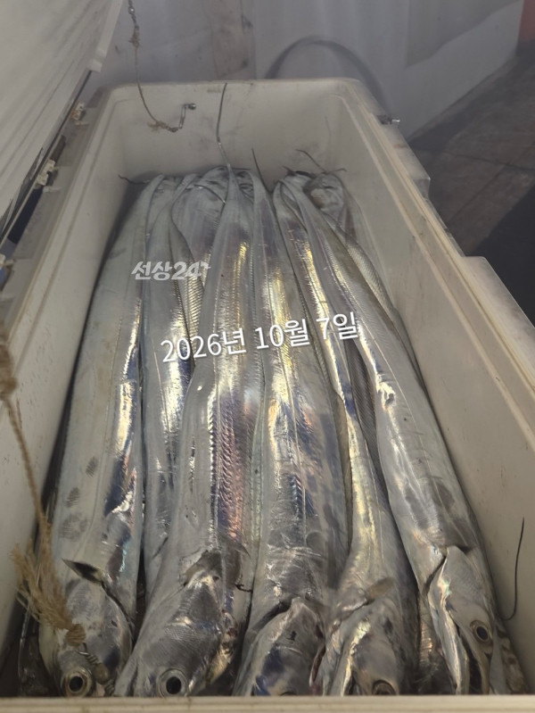 00020390-7DEA-4B82-AE3D-CB2347657F02.jpeg
