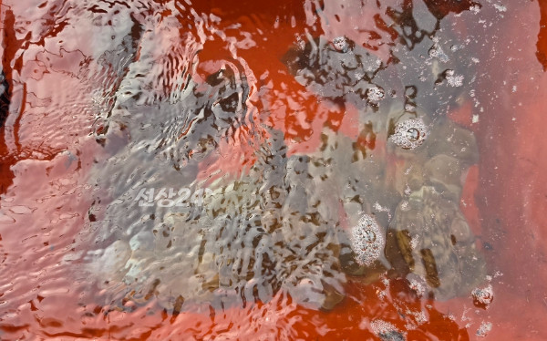 3293.jpg