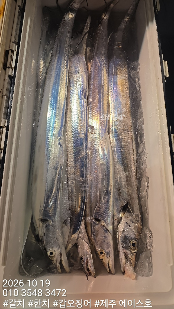KakaoTalk_20261019_132436958_04.jpg
