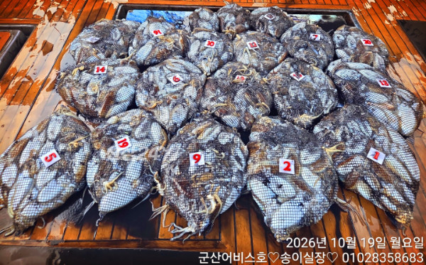 1000032050.jpg
