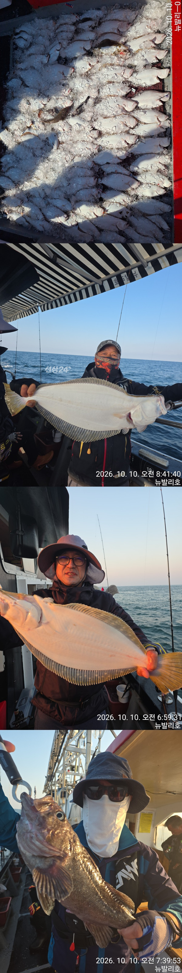 KakaoTalk_20261010_183838167-vert22222222222.jpg