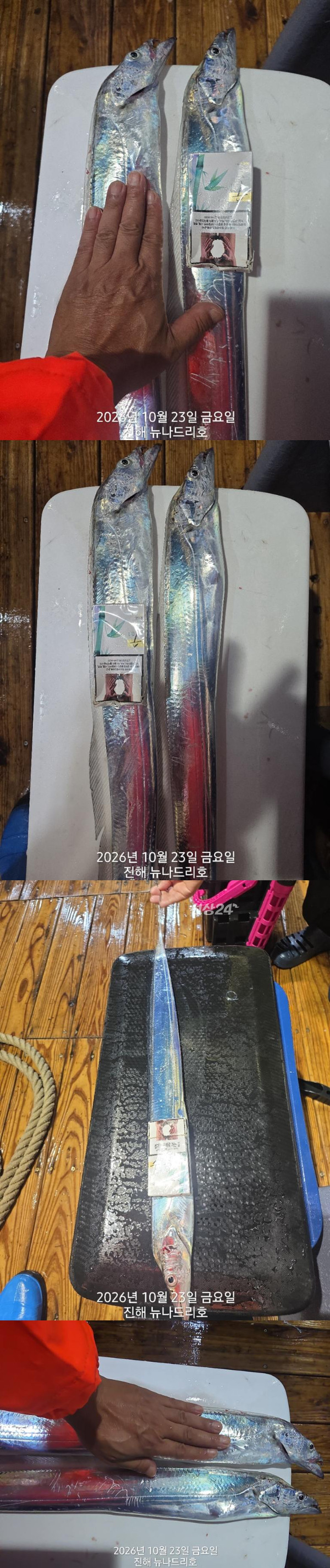 낱1.jpg