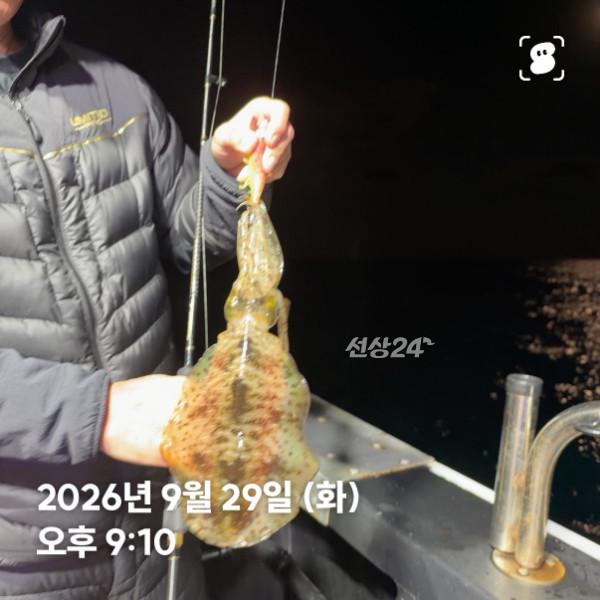 신신낚시 강구점 신신호_사진_20260930_4.jpg