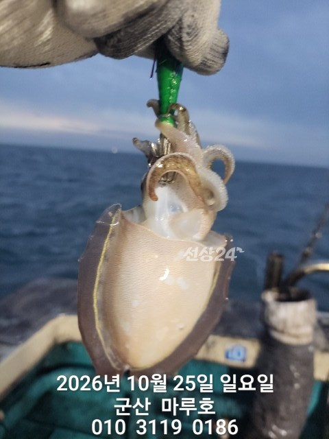 KakaoTalk_20261025_163308652_10.jpg